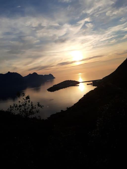 Senja, Husoy I Senja. Leilighet Med Utsikt Over Fjord Og Fjell Tofta Extérieur photo