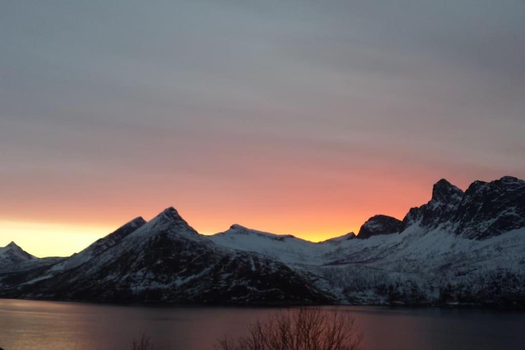 Senja, Husoy I Senja. Leilighet Med Utsikt Over Fjord Og Fjell Tofta Extérieur photo