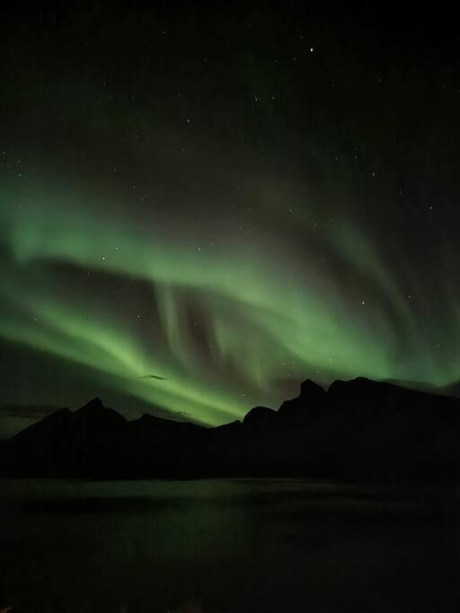 Senja, Husoy I Senja. Leilighet Med Utsikt Over Fjord Og Fjell Tofta Extérieur photo